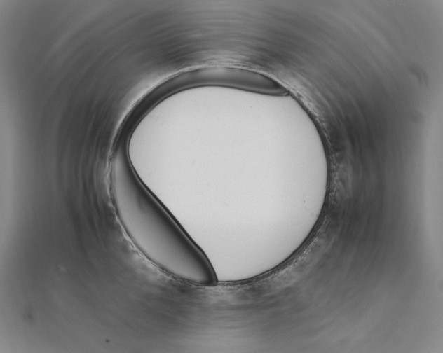 X0000112040904200908311233