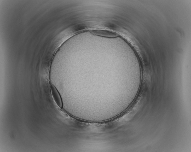 X0000112040905200908311233
