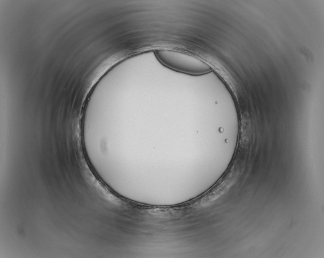 X0000112040906200908311233