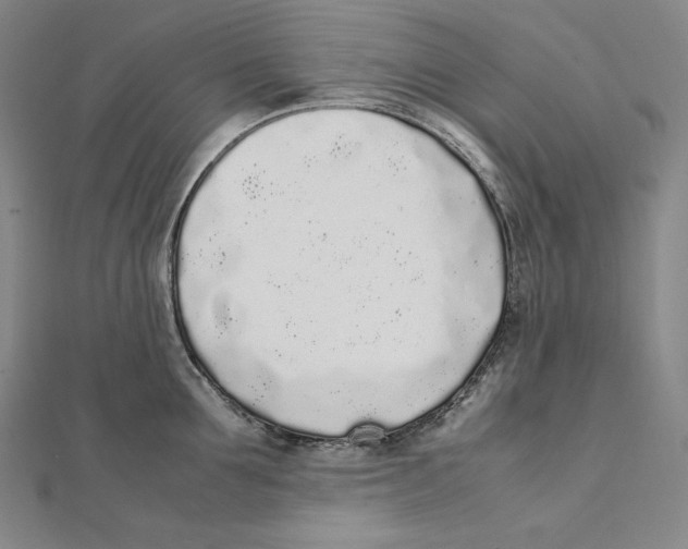 X0000112040907200908311233
