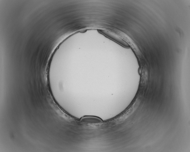 X0000112040908200908311233