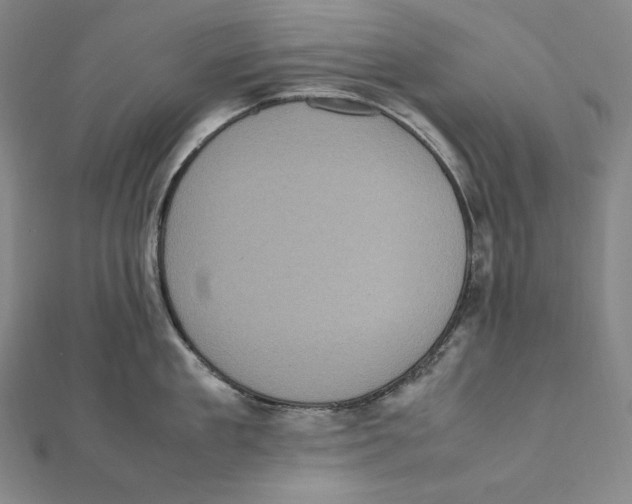 X0000112040909200908311233