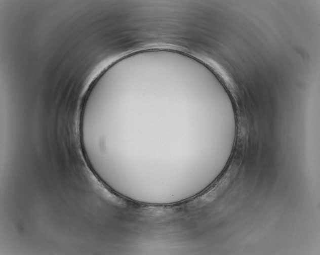 X0000112040910200908311233