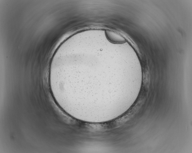 X0000112040911200908311233