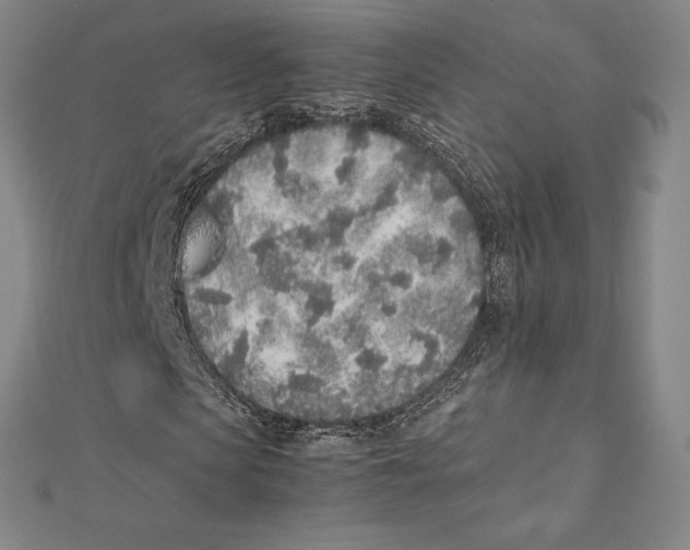 X0000112040913200908311233