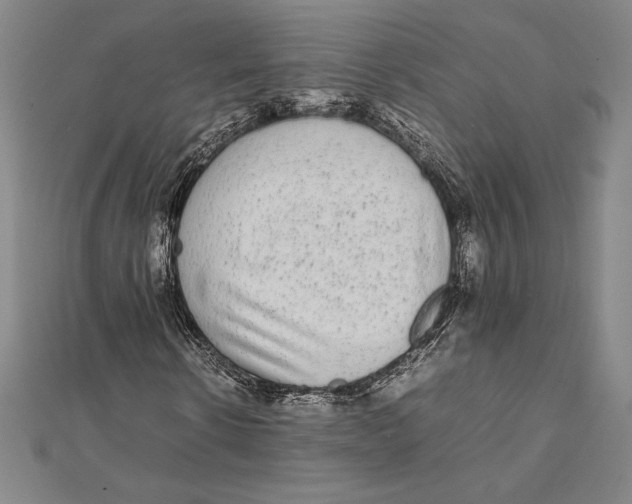 X0000112040914200908311233