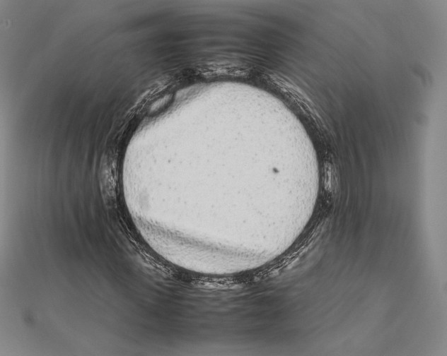 X0000112040915200908311233