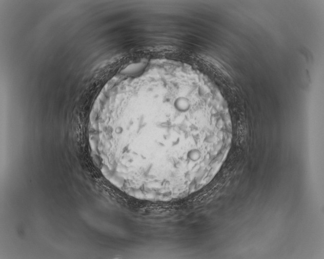 X0000112040917200908311233
