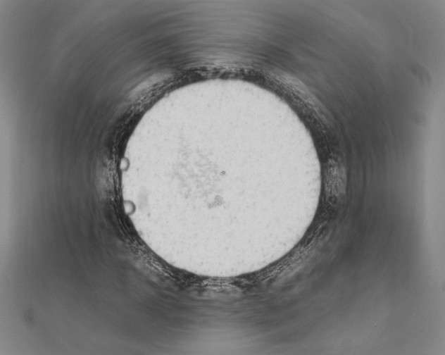 X0000112040918200908311233