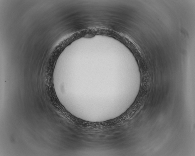X0000112040919200908311233
