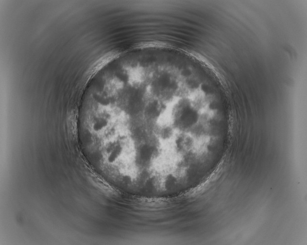 X0000112040921200908311233