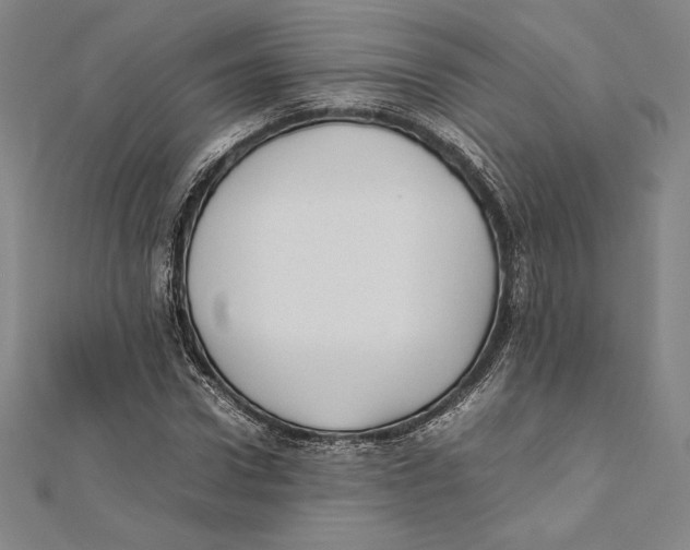 X0000112040922200908311233