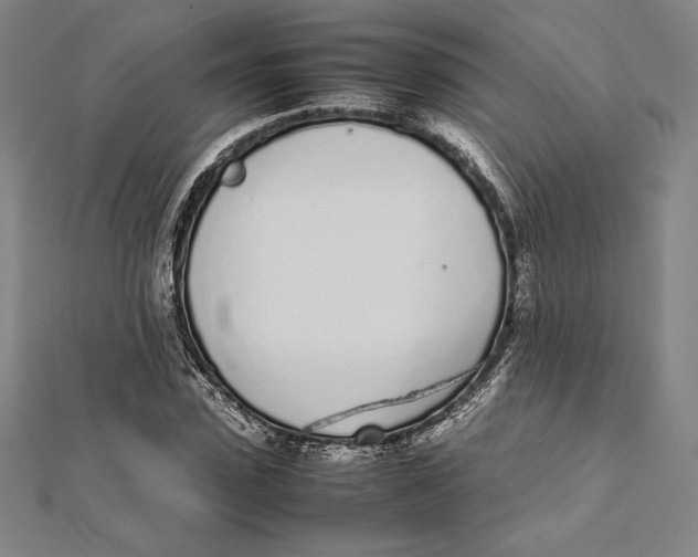 X0000112040923200908311233