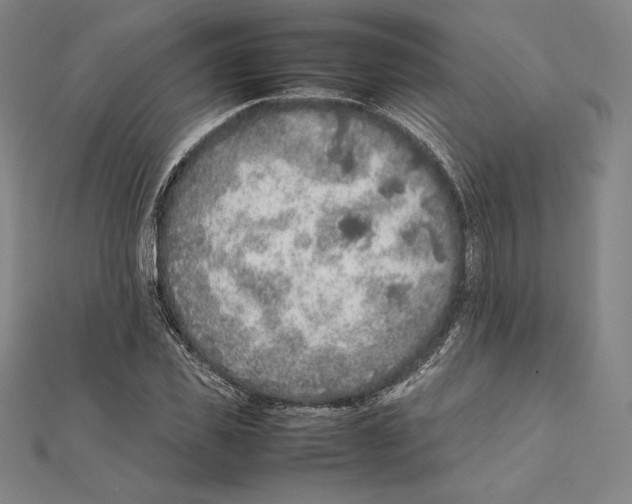 X0000112040925200908311233