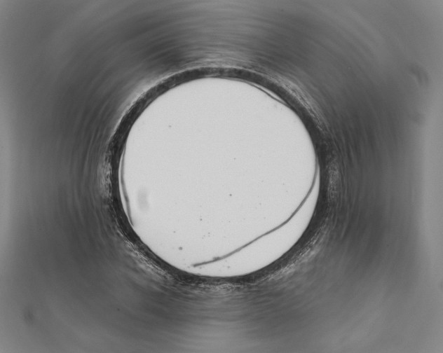 X0000112040926200908311233