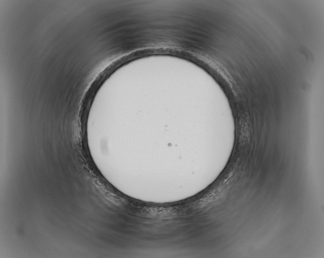 X0000112040927200908311233