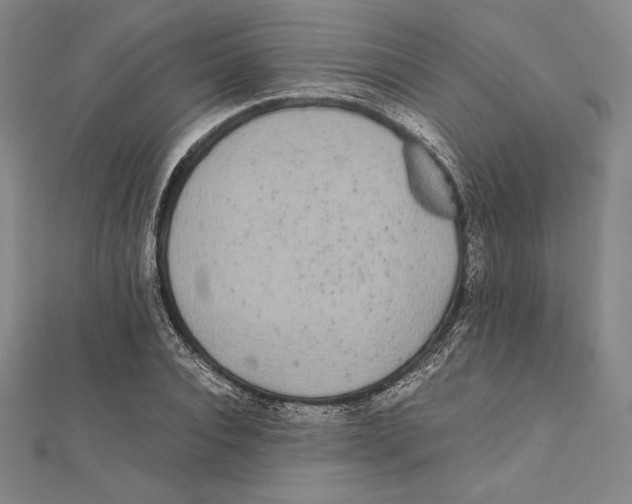 X0000112040928200908311233