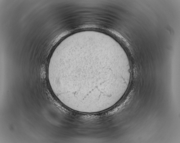 X0000112040929200908311233