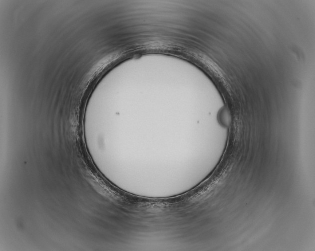 X0000112040930200908311233