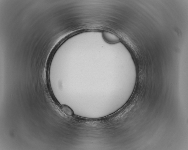 X0000112040932200908311233