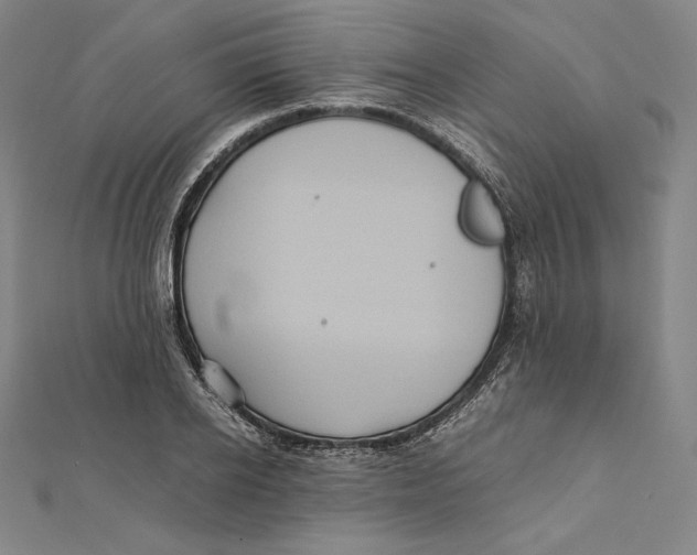 X0000112040934200908311233