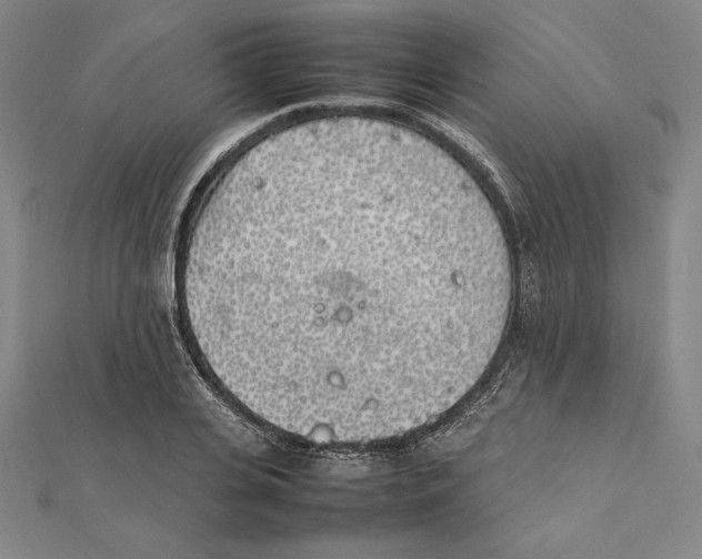 X0000112040935200908311233