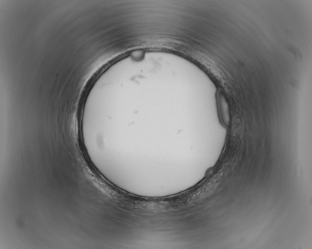 X0000112040936200908311233
