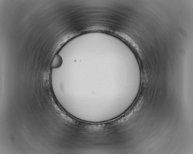 X0000112040937200908311233