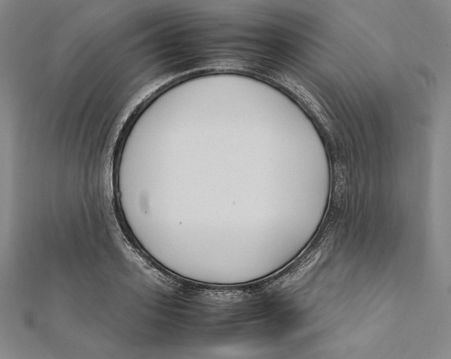X0000112040939200908311233