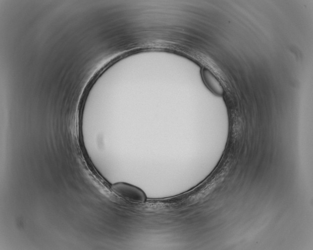 X0000112040940200908311233