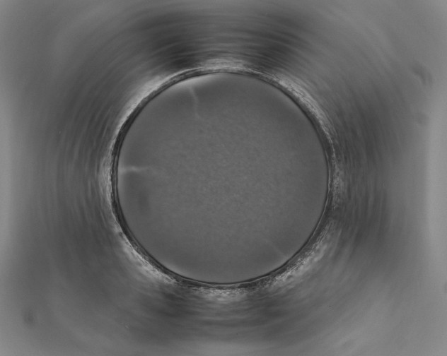 X0000112040941200908311233