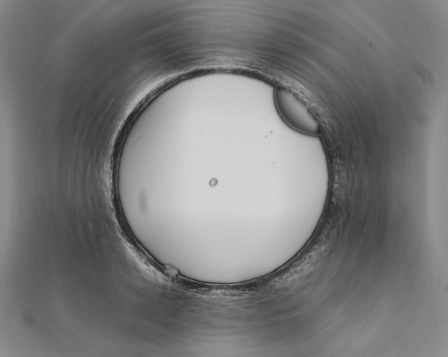 X0000112040942200908311233
