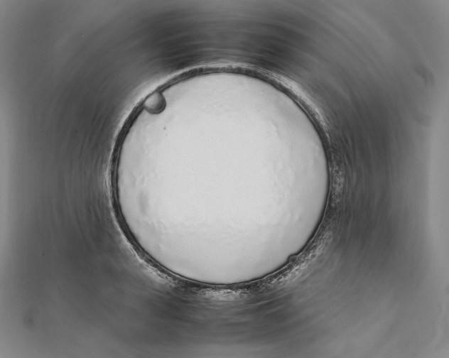 X0000112040943200908311233