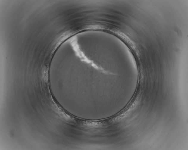X0000112040945200908311233