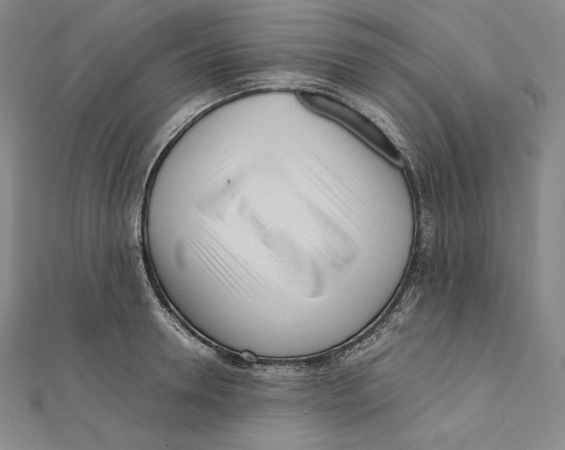 X0000112040946200908311233