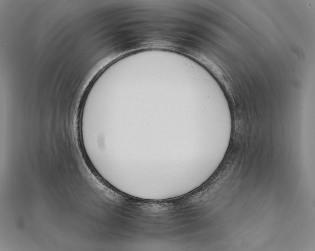 X0000112040947200908311233