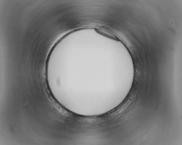 X0000112040948200908311233