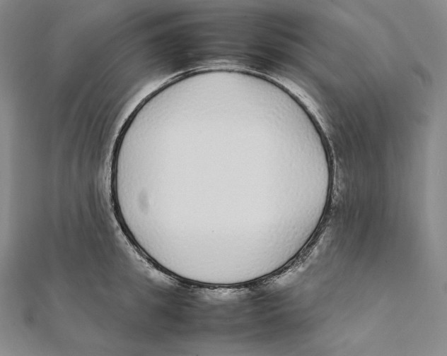 X0000112040949200908311233