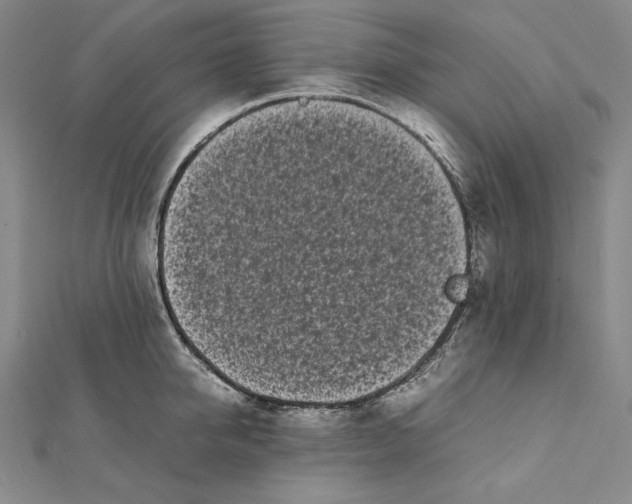 X0000112040950200908311233