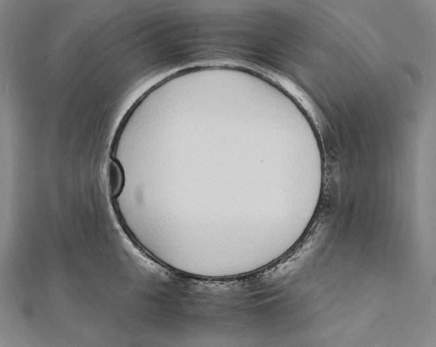 X0000112040951200908311233