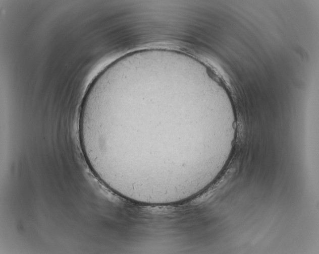 X0000112040952200908311233