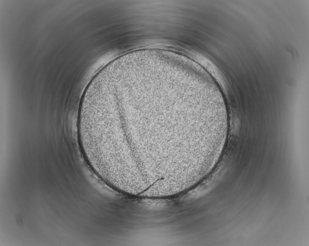 X0000112040954200908311233