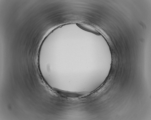 X0000112040956200908311233