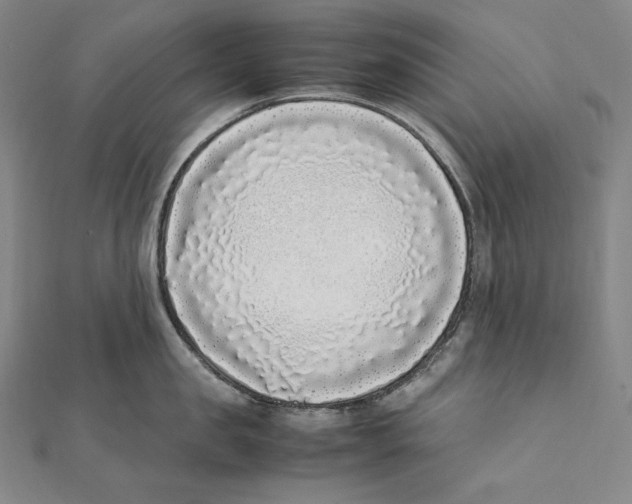 X0000112040957200908311233