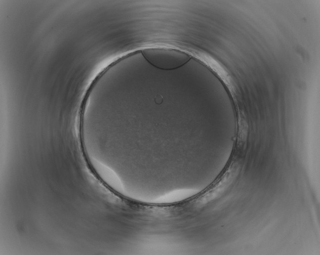 X0000112040958200908311233