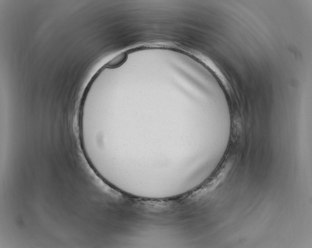 X0000112040959200908311233