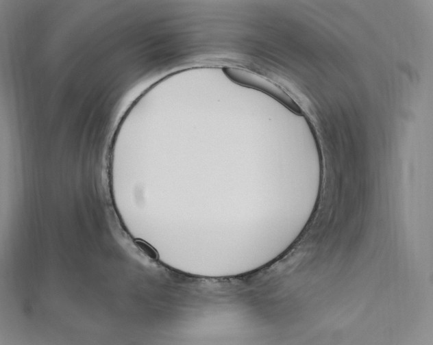 X0000112040960200908311233