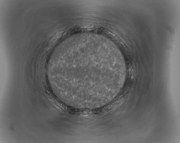 X0000112040961200908311233
