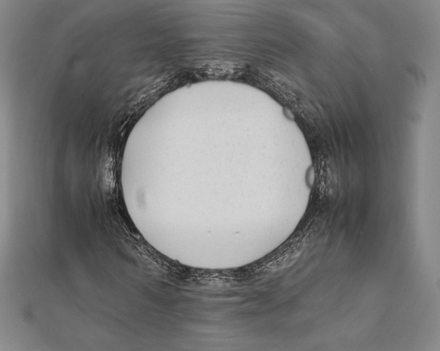 X0000112040962200908311233