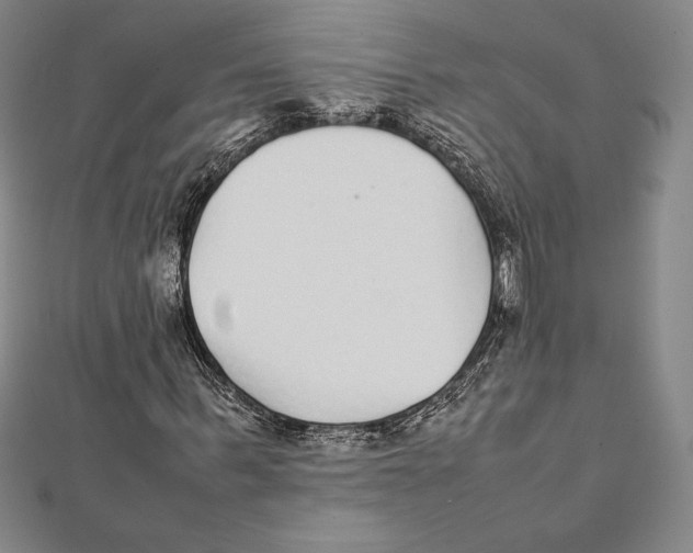 X0000112040963200908311233